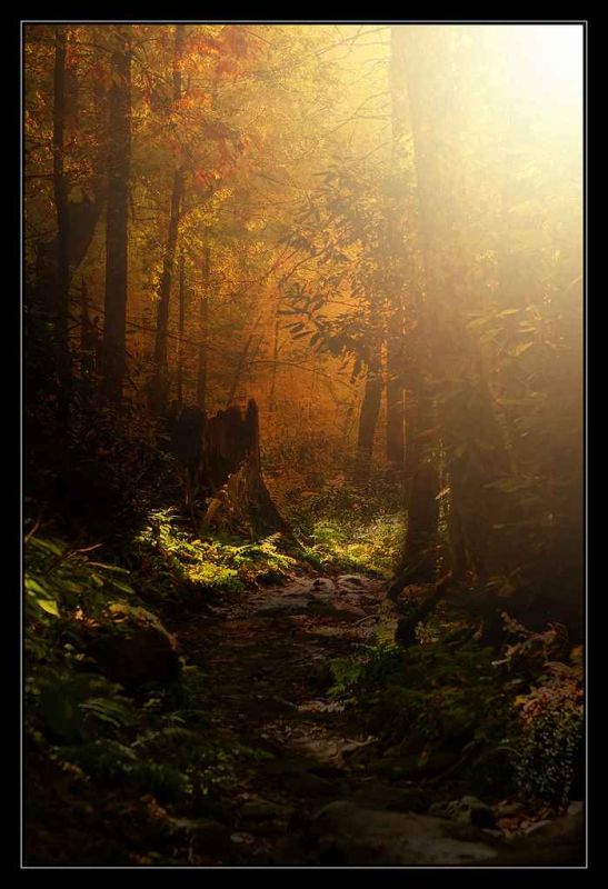along the way on ramsey trail.jpg
